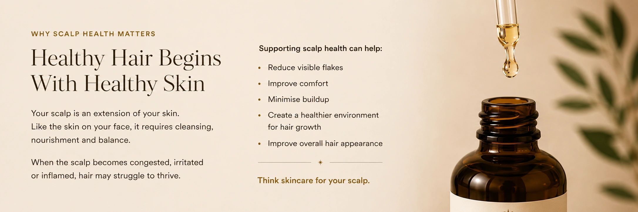 Healthy scalp is key to healthy hair and comfort.