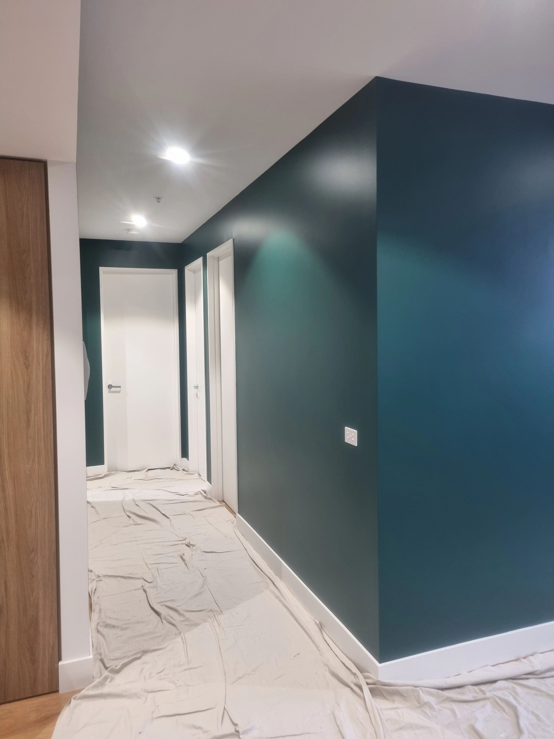 Fine Finish Paintings Wall Repair + Painting