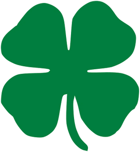 Irish Pressure Washing And Lawn Care
