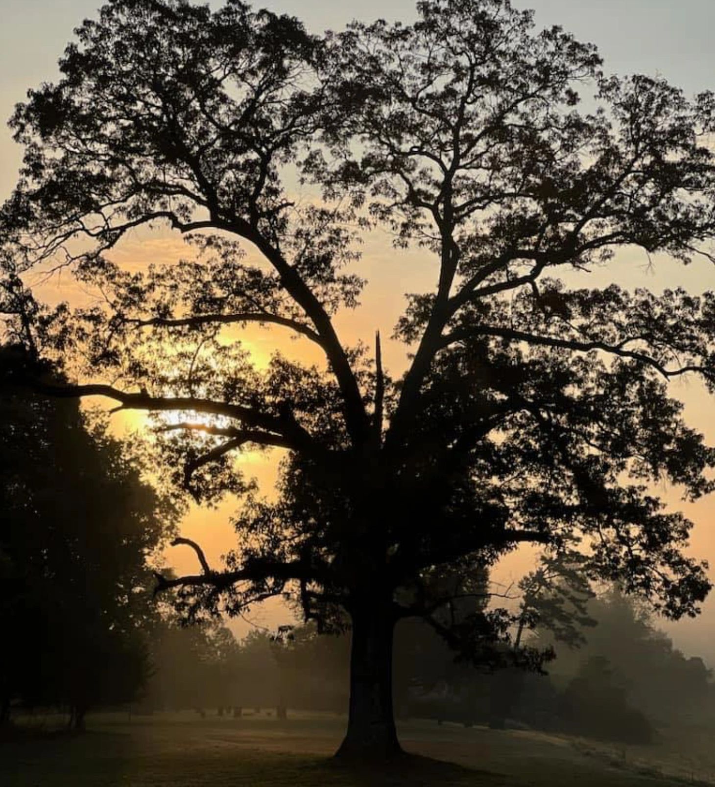 Silver Creek Family Practice, PLLC