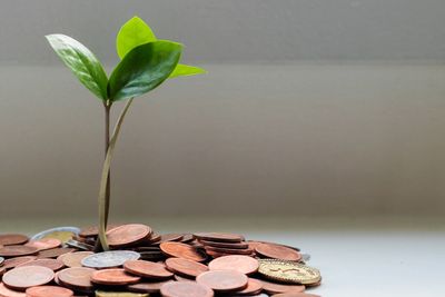 pensii private obligatorii PII si pensii private facultative PIII