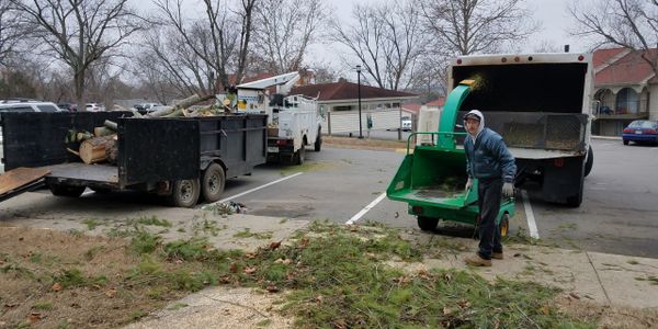 ArborJack's Tree Service