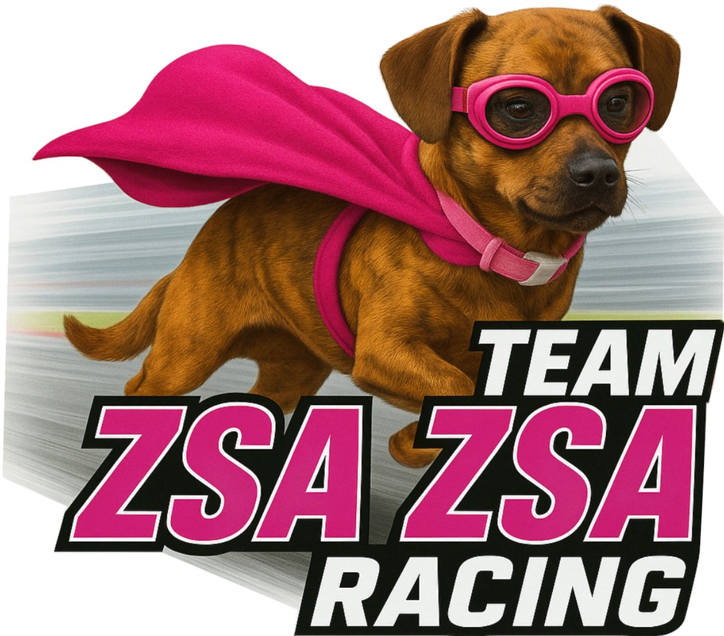 Team ZsaZsa Racing: Racing with passion... Not so much on precision 😁