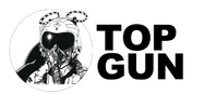 INTERACTIVE ENTERTAINMENT TOP GUN