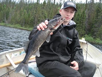 nice size blue walleye