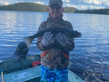 Nice blue walleye catch 