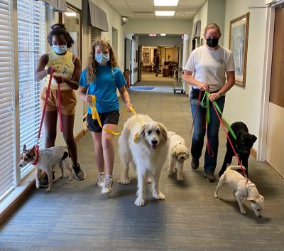Three people walking five dogs indoors, all wearing masks.