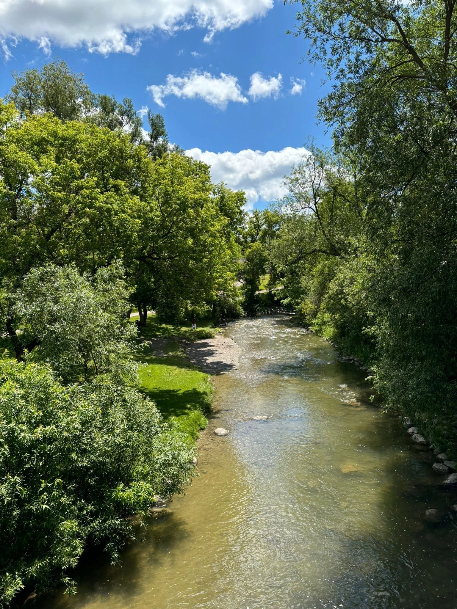 Peaceful river flowing through lush green trees under a blue sky
