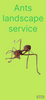 Ants landscape service  