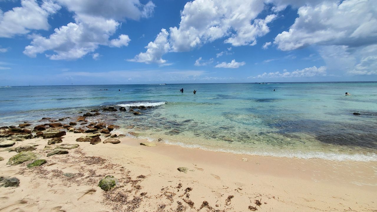 Secrets Aura Cozumel is a snorkeler's paradise!  It's so easy to just snorkel right off the shore!