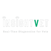 insightvet