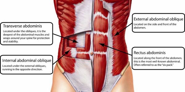 Core and pelvic floor program as well as transverse abdominis exercises Calgary