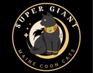 Super Giant Maine Coon Cats