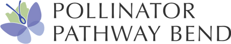 Pollinator Pathway Bend
