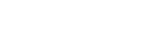 Ventures Capital Partners & Associates