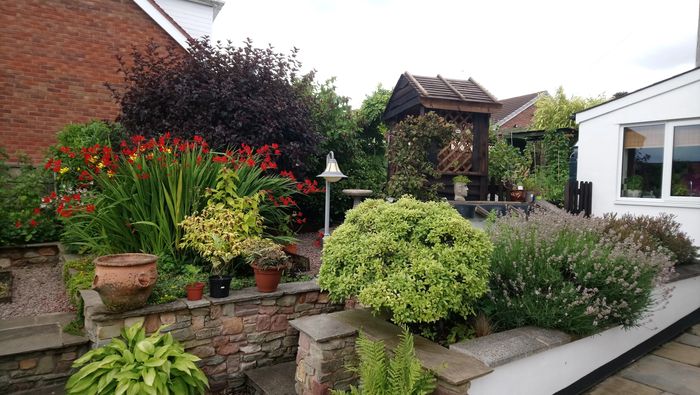 a beautiful garden with lots of flowers