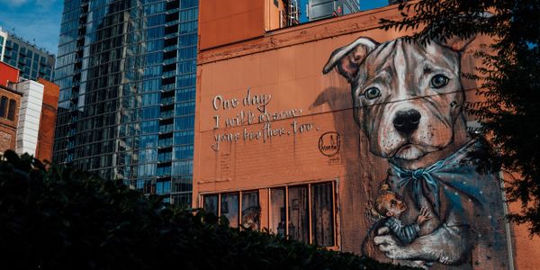 Emerging Artists - Street Art Graffiti