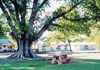 Charters Towers