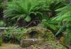 Oven on Sarah Island in Macquarie Harbour