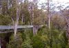 Tahune Forest Airwalk