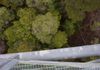 Tahune Forest Airwalk
