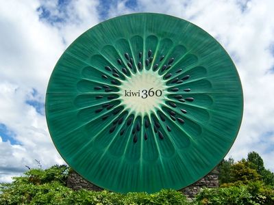 The Kiwi 360 farm at Tauranga.