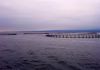 Tuna fish farms in Macquarie Harbour