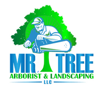 MR. TREE Arborist and Landscaping LLC