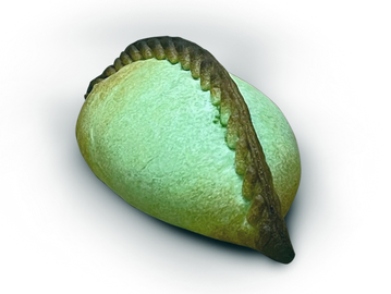 Vegan Tunka