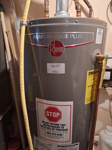 Rheem Performance Plus water heater with warning and service stickers.
