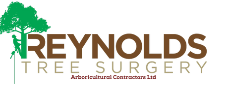 Reynolds Tree Surgery