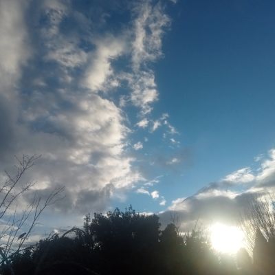 Sun shining brightly behind trees with clouds scattered in the blue sky.