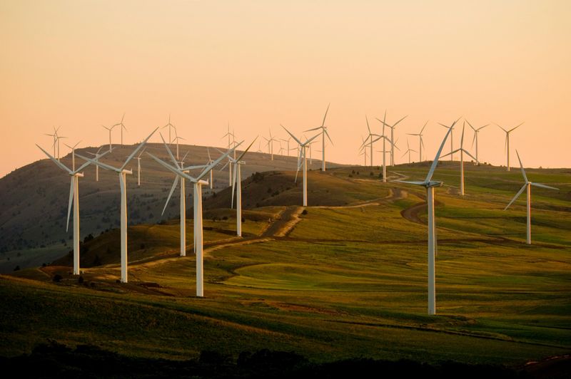 Renewables.jpg