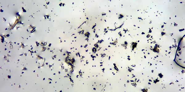 Mold air test