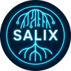 Salix Systems Consulting