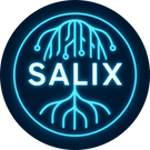 Salix Systems Consulting
