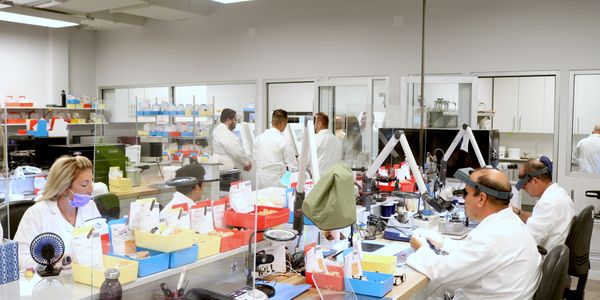 Inside look at a big dental laboratory with dental technicians and technology