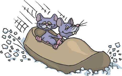 Emergency 
Pest Control Corp. 
