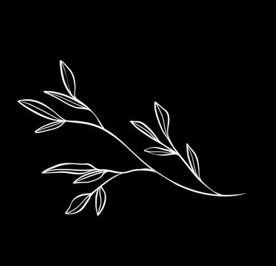 Minimalist white leaf branch drawing on black background.