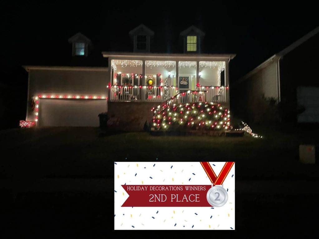 Christmas 2024 - 2nd place winner