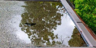 Ponding water on flat roof