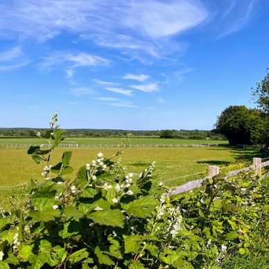 Beautiful views of Barcomb, near Lewes in East Sussex