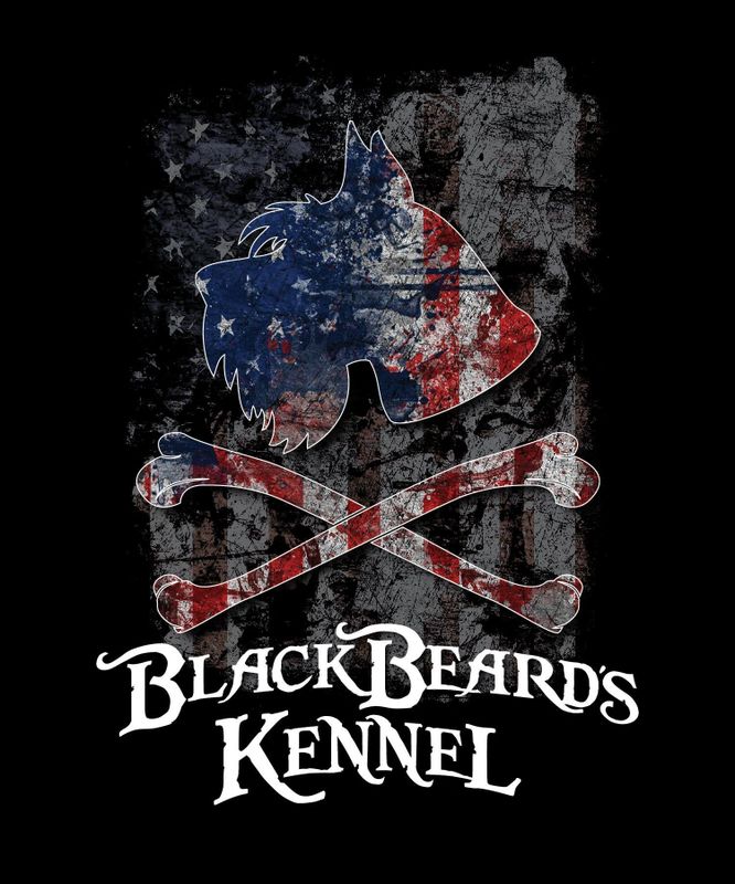 Black Beard's Kennel - Breeder, Schnauzers, Breeder, Dog