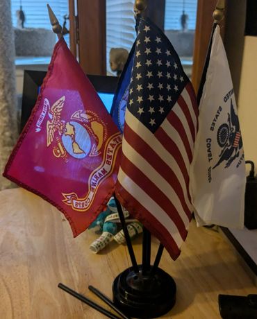 DAV 17 Gainesville Hall Chapter All Services Flag display used during 2024 Golden Corral Campaign.