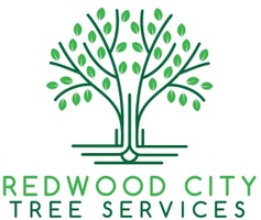 Redwood City Tree Services