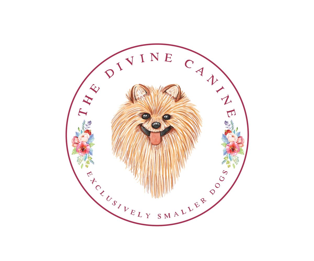 Dog Boarding  Divine Canine