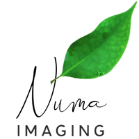 Numa Imaging