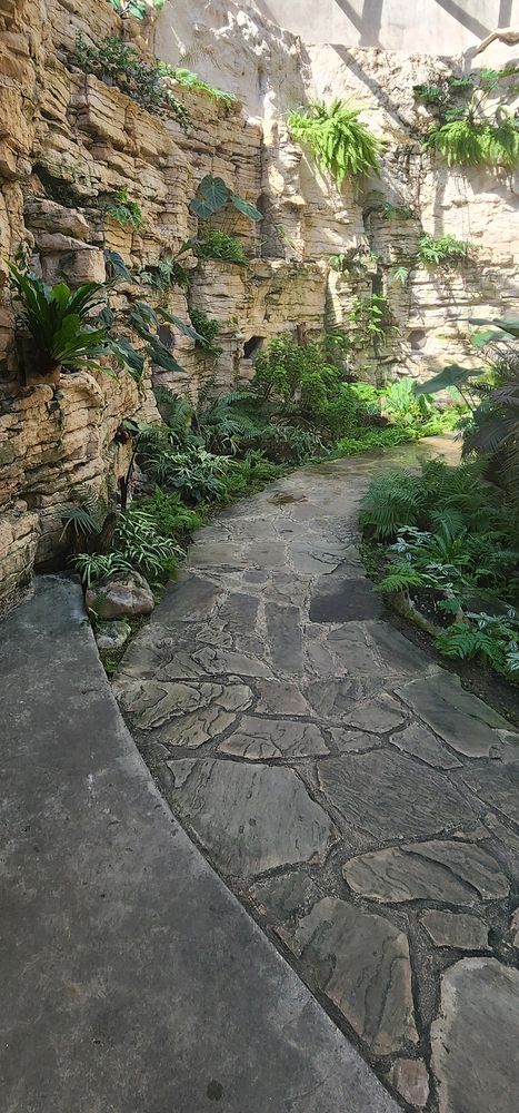 The Grotto | San Antonio Botanical Garden | November 2025