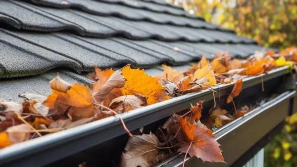 Gutter clogged with autumn leaves on a house roof.