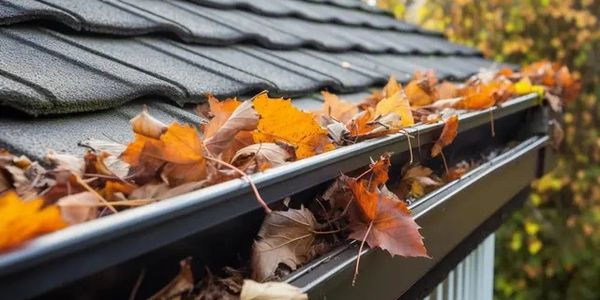Gutter clogged with autumn leaves on a house roof.
